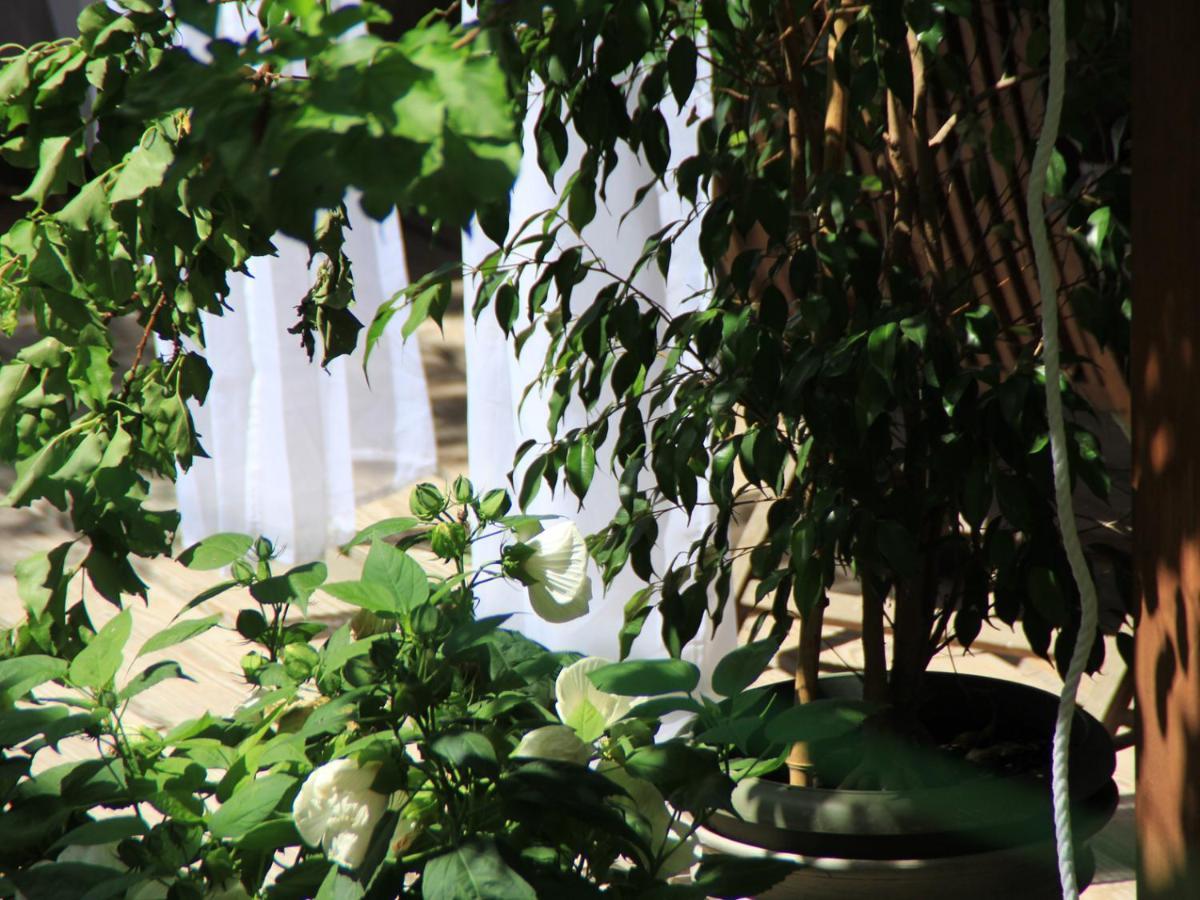 Les Pascals Bed & Breakfast Saint-Paul-les-Romans Exterior photo